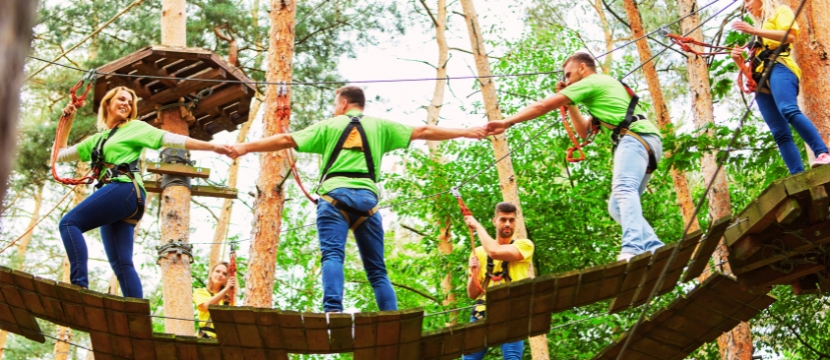 8 Steps to Organize a Perfect Corporate Tour for Under 100 People